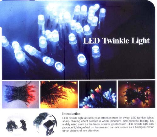 LED Twinkle Lights