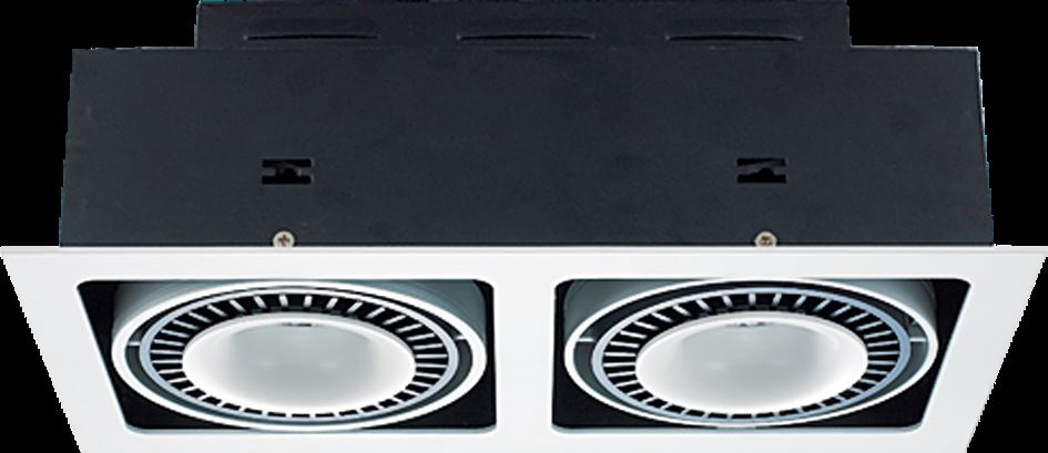 2*12W LED Grille Spotlight (GS8002-2)