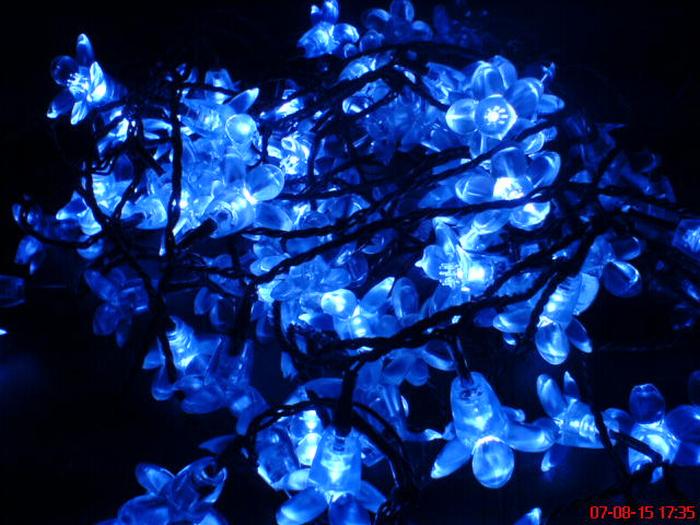 LED Light