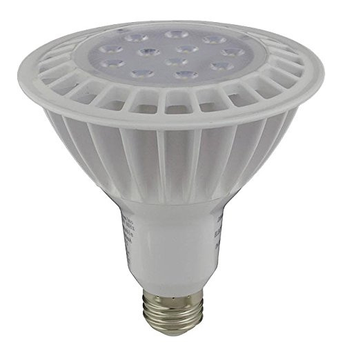 PAR30 Bright White Dimmable LED PAR Light