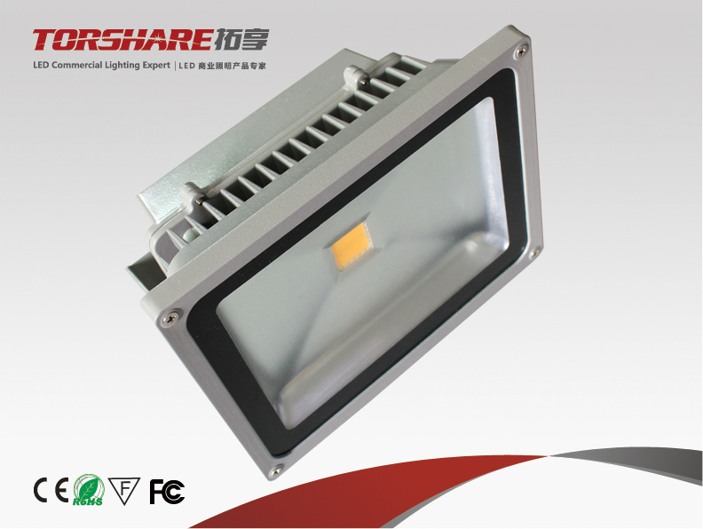 30W LED Floodlights Torshare