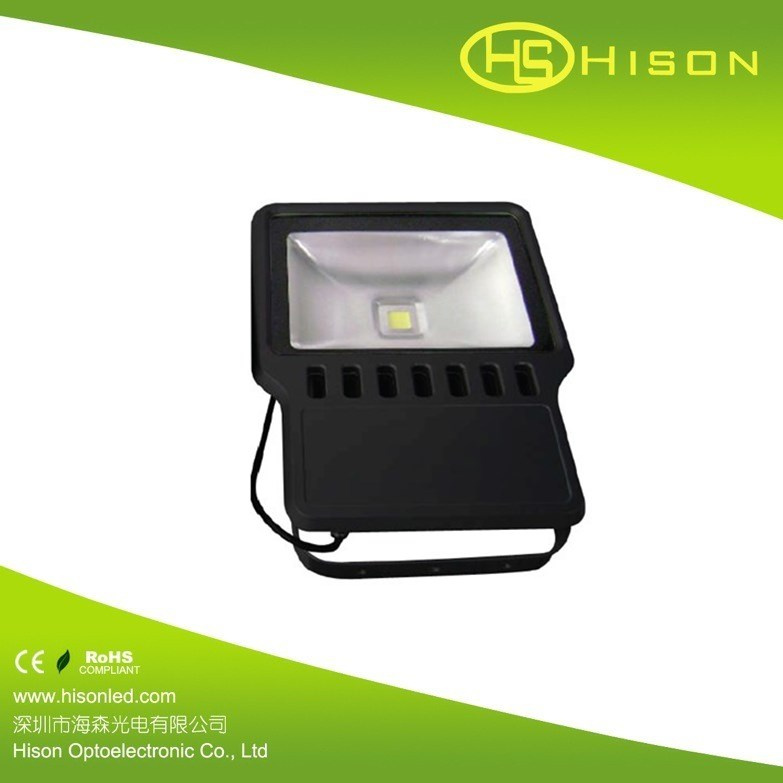 LED Flood Lighting/LED Flood Light 100W/LED Garden Light