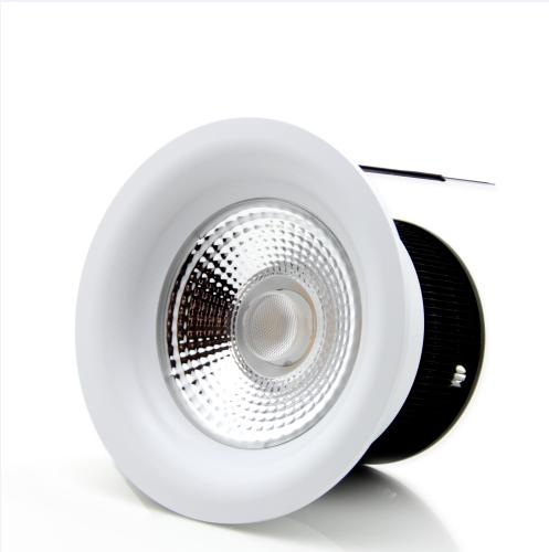 Ts-25W COB LED Down Light 25W White