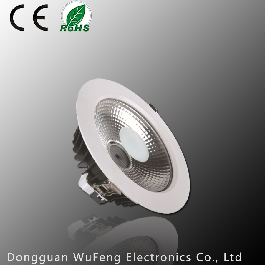 40W LED Spot Light (WF-DL230C-40W)