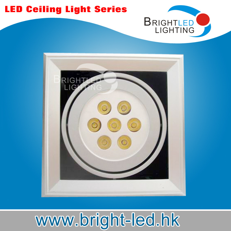 LED Ceiling Lights