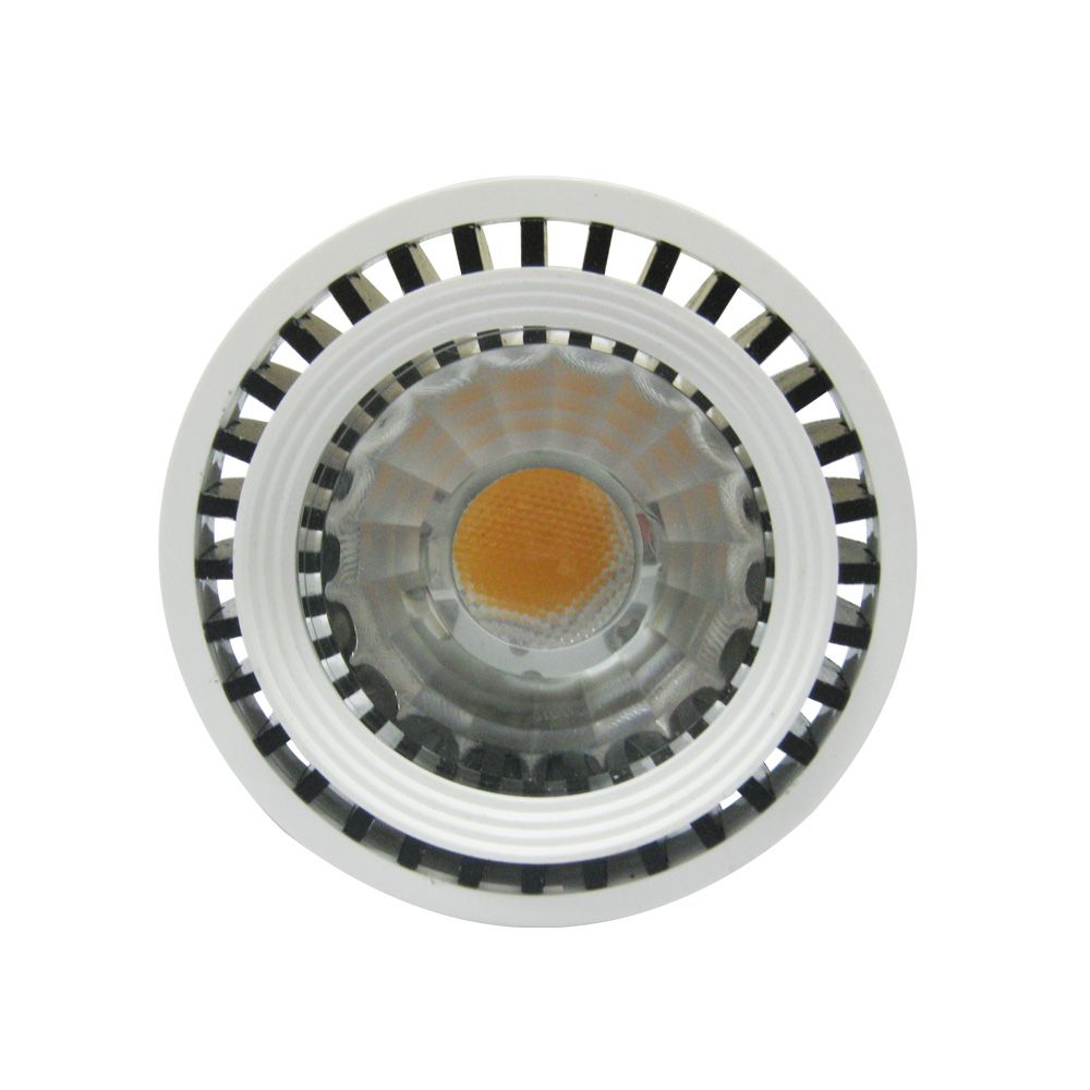RGB 5W 8W 18W LED PAR Light PAR 56 LED Swimming Pool Lights with Controller