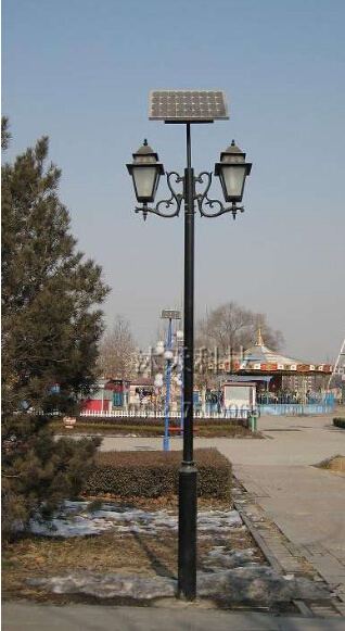 15W Solar LED Garden Lights (YCLG15)