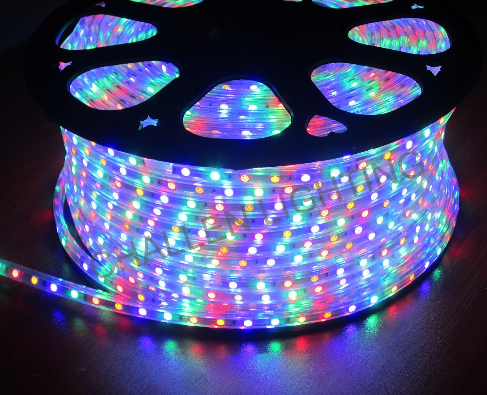 LED Strip Light (SL-DD3528-220V-60-W/WW/R/Y/B/G01)