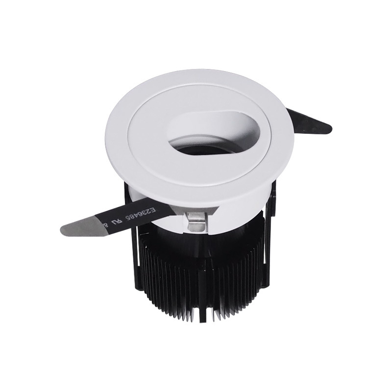 Durable 10W 36V Aluminum White+Black LED Down Light