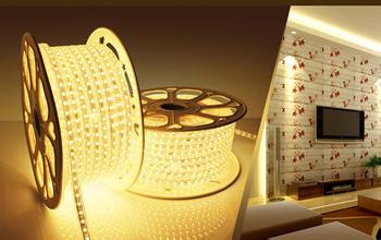 220/110V LED Strip LED Light LED