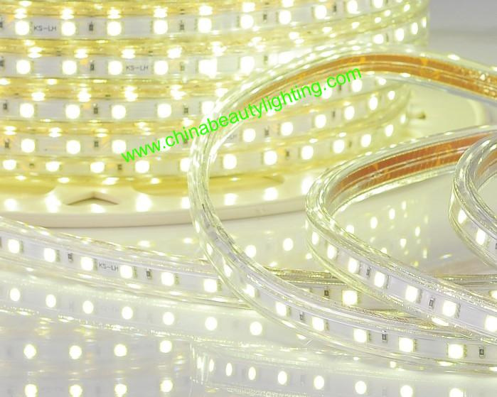 5050SMD 110V/220V LED Light LED Strip Light