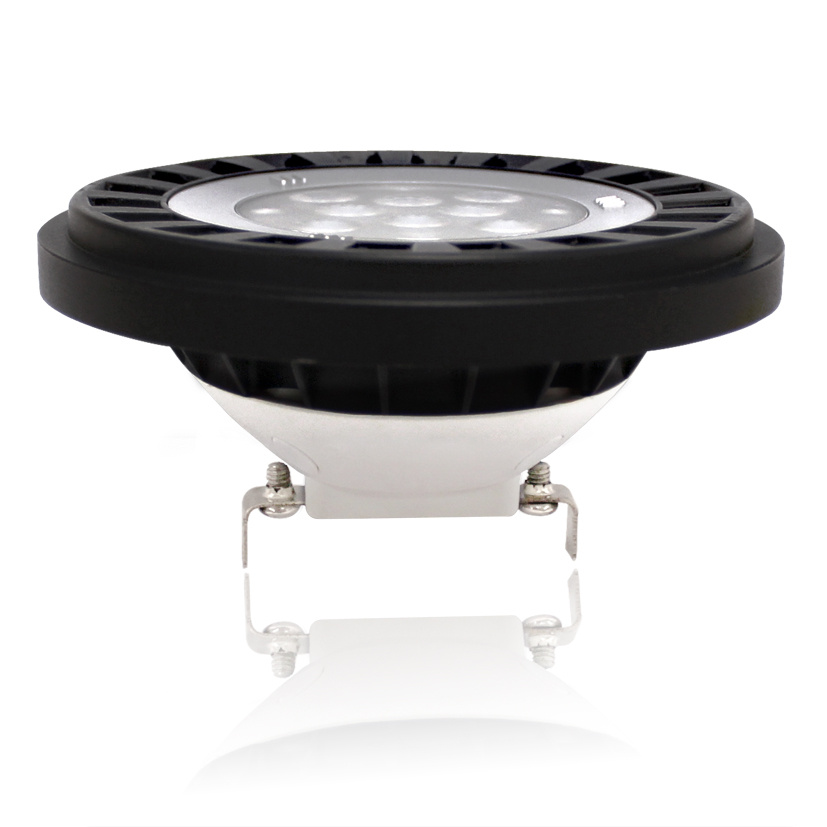 IP67 LED AR111/PAR36 Outdoor Spotlight with Landscape Lightig