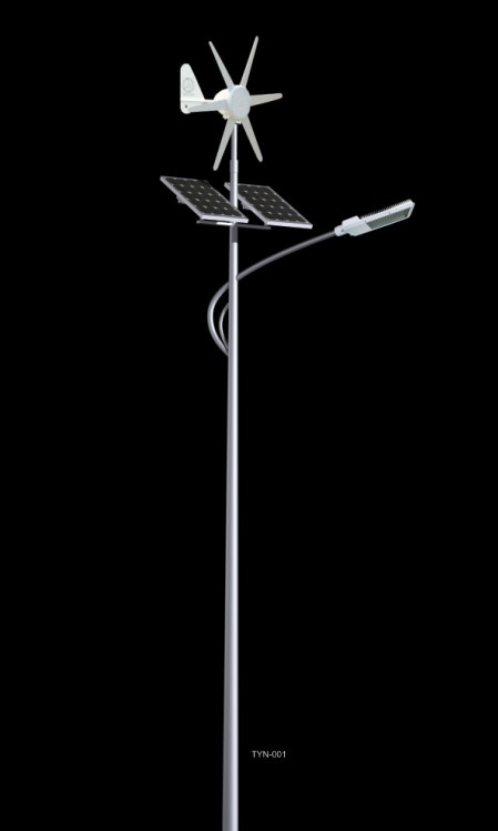 30W 5m Wind and PV Street Light