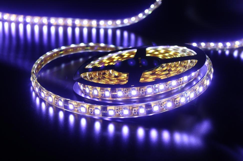 3528 3W 220V Flexible LED Strip Lights 3528-60p-220