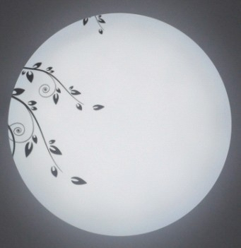 LED Ceiling Light