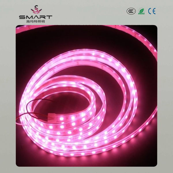 LED Strip Light (SL-B1226C30)