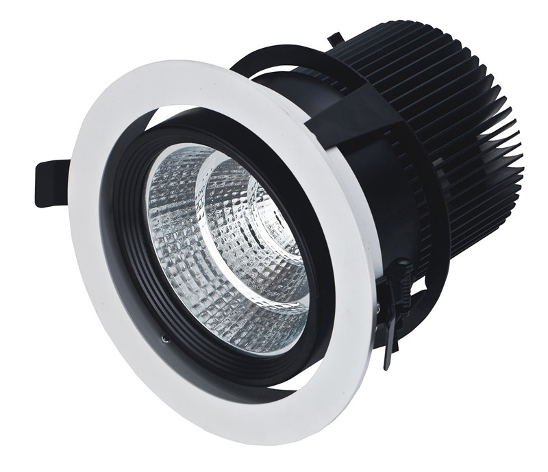 LED Down Lights 10W/20W COB LED Light