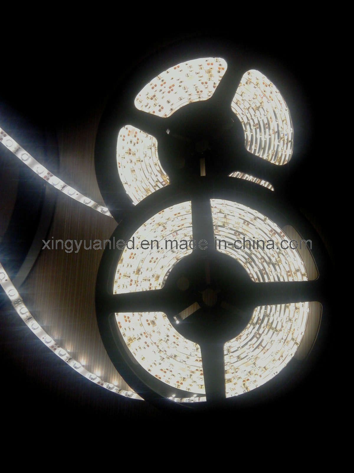 LED Strip Light (BF-XY-5050-60-1M)