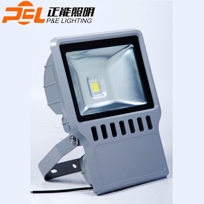 100W LED Floodlight, LED Park Light, LED Garden Light