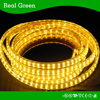 SMD3014 220V Double Row LED Strip Light