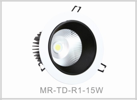 12W LED Down Light &LED Ceiling Light