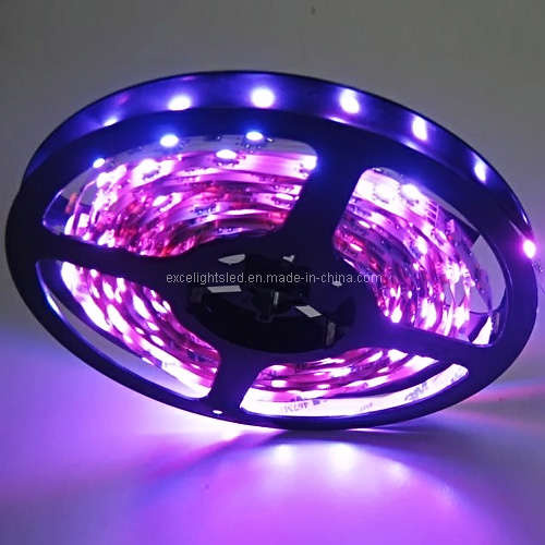 LED Ribbon Light Strip Light (EL-NS5050PI30)