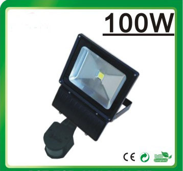 100W LED Floodlight LED Flood Lamp LED Light