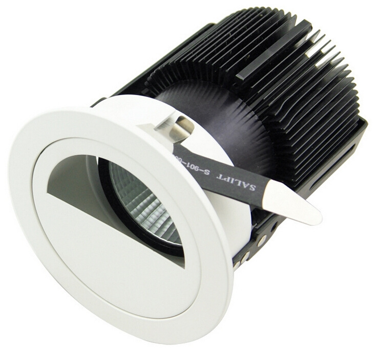 Hemicycle Lighting Round 25W COB LED Wall Washer Downlight