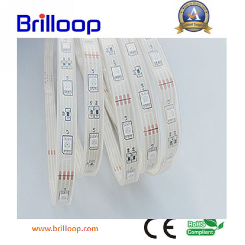 SMD LED Flexible Strip Light (BLP-STPA30)