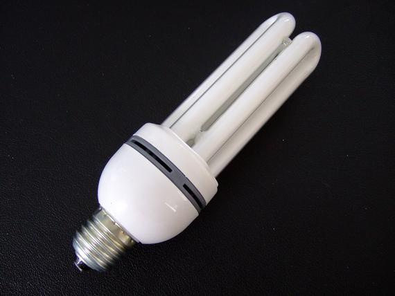 Fluorescent Light (DC-3U-10) 