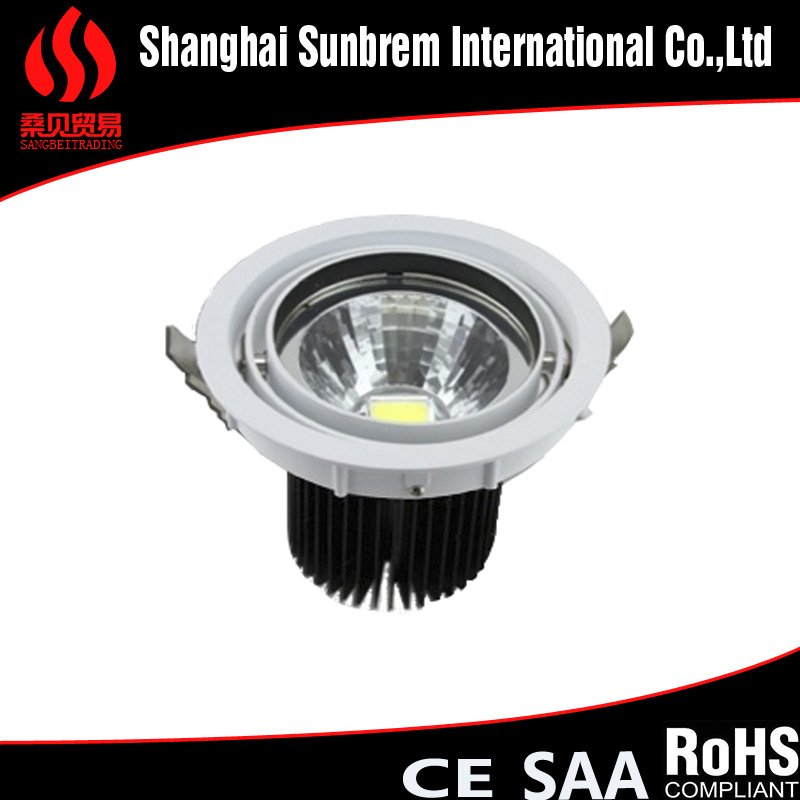 LED Down Light/Highlighting Down Light/12W LED Down Light
