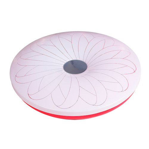 Fashion Style LED Ceiling Light (SMR12-24W)