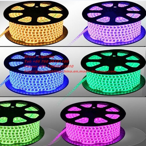 Beautiful RGB Running 60 LEDs Light 3528 LED Strip (G-SMD3528-60-220V-RGB)