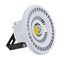 LED Flood Lights (COB)