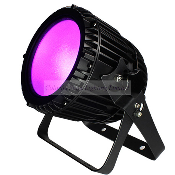 DMX IP65 Outdoor 100W RGB COB LED PAR 64