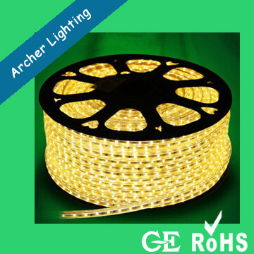 220V/110V SMD LED Strip Light