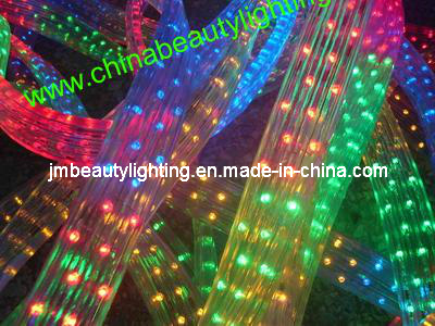 LED Strip Light 5 Wires LED Rope Light (Flat Shape)