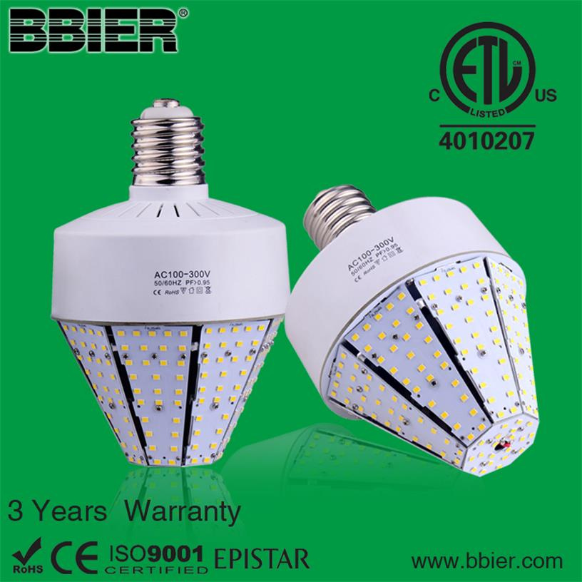 E39 60W LED Garden Light Dlc