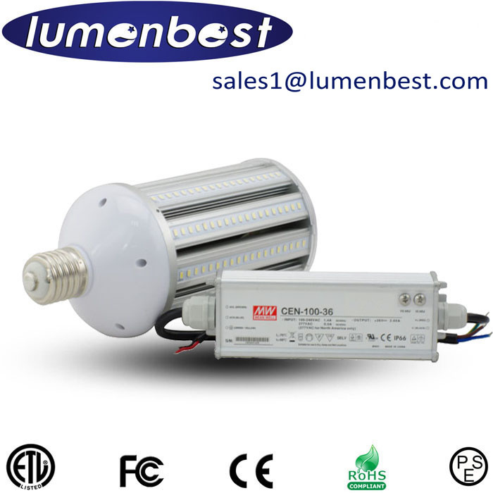 360 Degree High Lumen 80W LED Landscape Garden Light