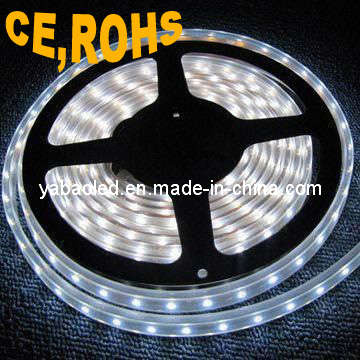 White Color LED Light Strip (YB-F50-11)