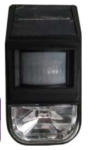 Solar Guard Security Light with Sensor