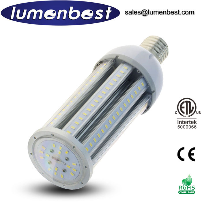 E27 E40 60W LED Garden Light (cETLus/ETL+Retrofit 5000066)