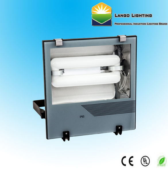 Electrodeless Induction Flood Light with 5 Year Warranty (LG0553-3s)