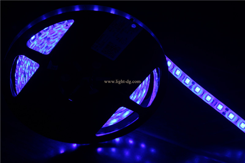 5050 Flexible LED Strip Light