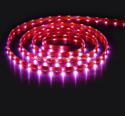 SMD 5060 High Power Flexible Strip-30 LEDs/M IP67 LED Light