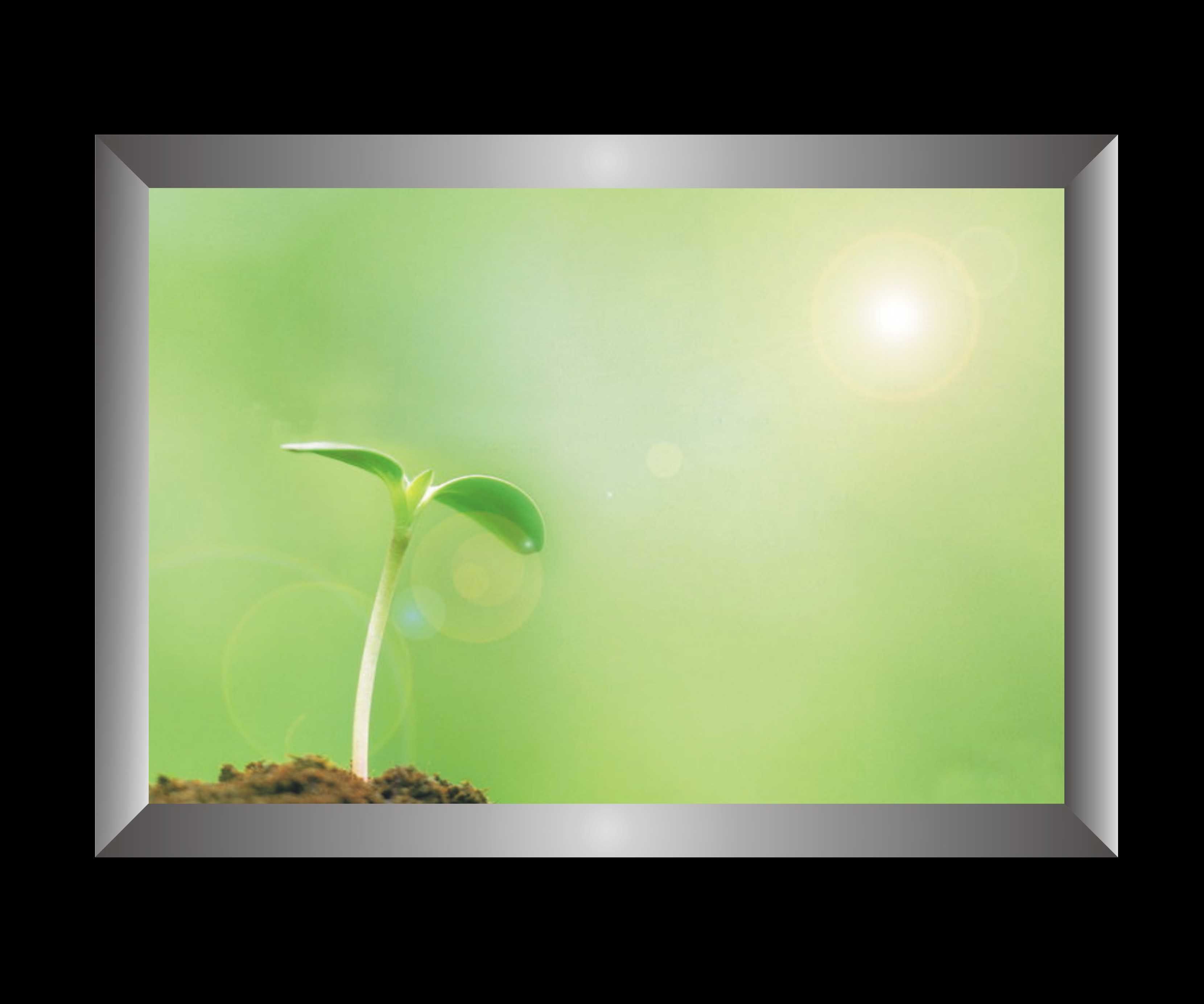 LED Illuminated Advertising Snap Frames Light Box