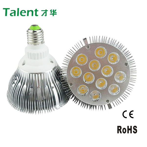 PAR38 E27 Base 12W High Power LED Spotlight