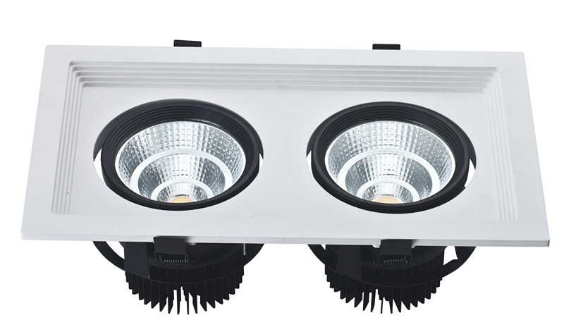 LEDs Down Light COB 45W LED Down Light