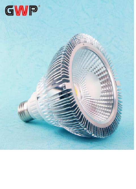 5W PAR20 LED COB Spotlight