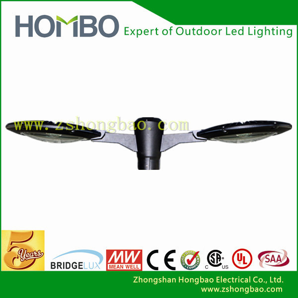 Professional Manufactor 60W LED Garden Light Outdoor Light (HB035-05)